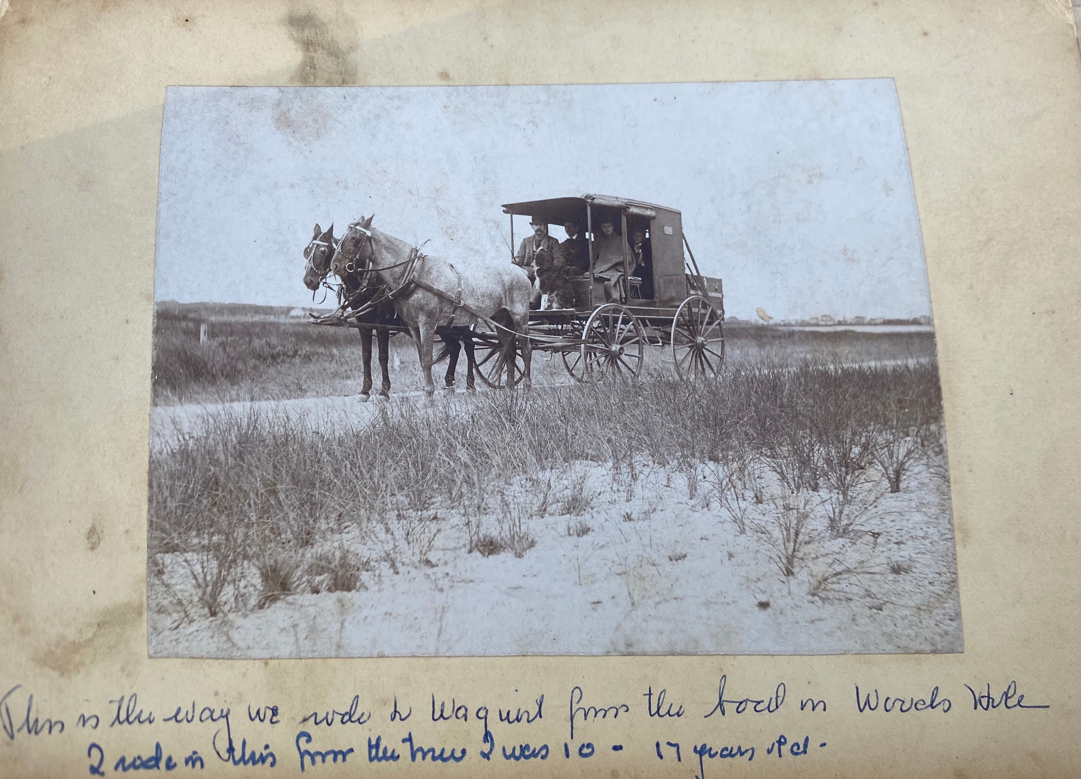 Horse-drawn carriage on road from Woods Hole to Waquoit