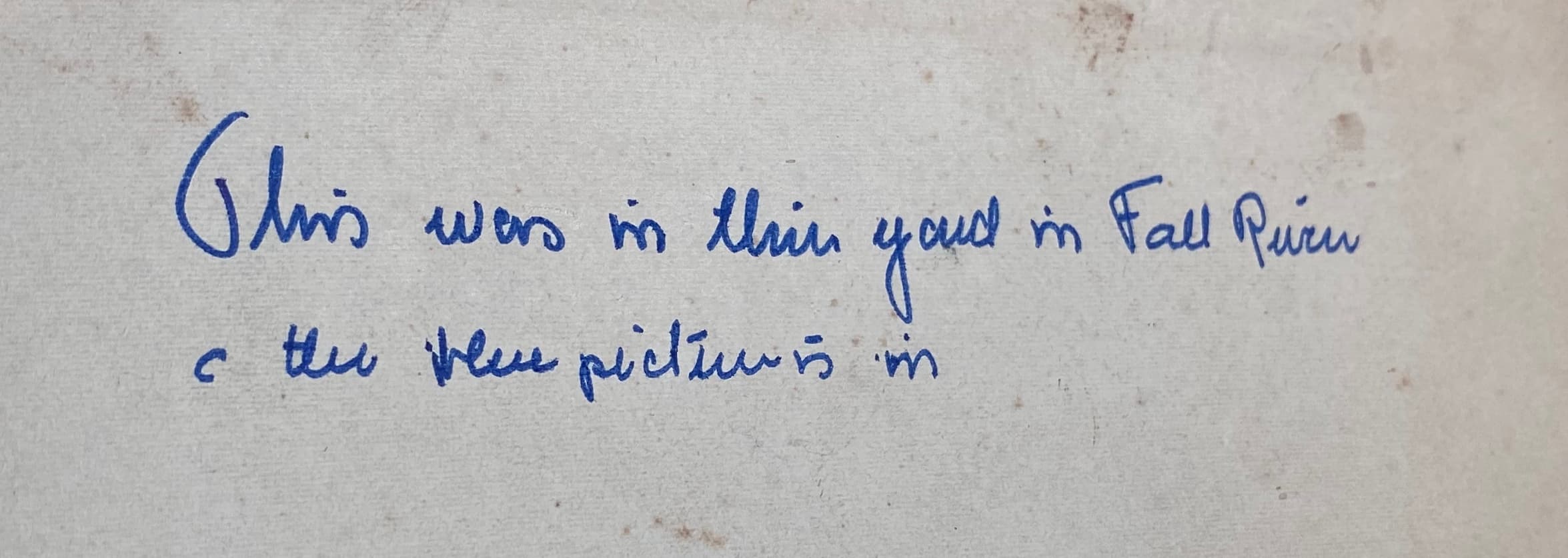 Back of great-grandmother garden photo